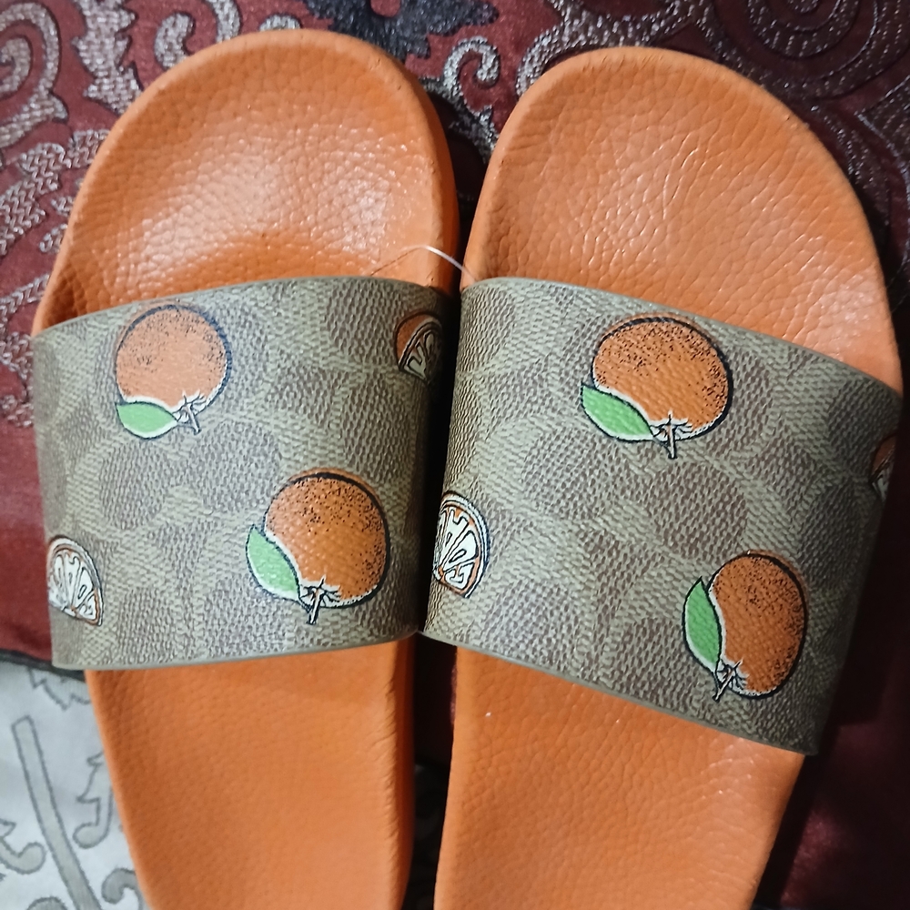 Coach Orange and Brown Slide Sandals